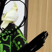 گمشده