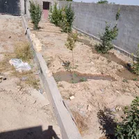 باغچه۵۰۴مترسندملکی نیم ساعت آب چاه موتور فردوسی|فروش خانه و ویلا|مشهد, درزآب|دیوار