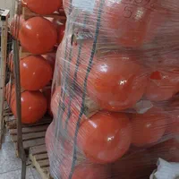 CNG نمایندگی مجاز|قطعات یدکی و لوازم جانبی|اهواز, سلطانمنش|دیوار