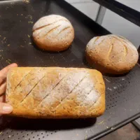 کارگر ساده آقا جهت کارگاه قنادی