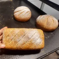 کارگر ساده آقا جهت کارگاه قنادی
