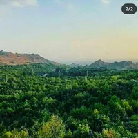 سوئیت آپارتمان آرتا (واقع در بوژان ۲)