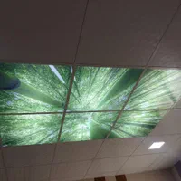 اسمان مجازی تایل اسمان مجازی|مصالح و تجهیزات ساختمان|تهران, بلورسازی|دیوار