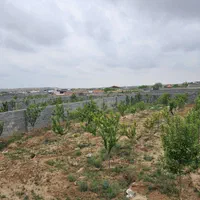 فروش زمین باغی روستای زاک ونجم|فروش زمین و ملک کلنگی|مشهد, الهیه|دیوار