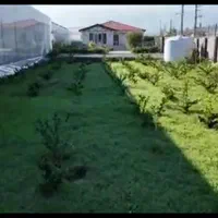 گلخانه /۱۳هزار و ۵۰۰متری/بادو  پروانه و دو سند