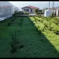 گلخانه /۱۳هزار و ۵۰۰متری/بادو پروانه و دو سند