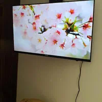 خریدار ال ای دی 32 40 42 43 46 48 49 50 55 LED|تلویزیون و پروژکتور|تهران, امام حسین|دیوار