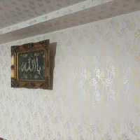 رنگ آمیزی نقاشی ساختمان|خدمات پیشه و مهارت|اردبیل, |دیوار