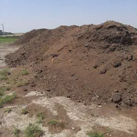 کودگاوی خشک مانده پودری