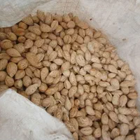 خریدو فروش انواع بادم و مغز بادام به قیمت تجاری|خوردنی و آشامیدنی|نجف‌آباد, جعفرآباد|دیوار