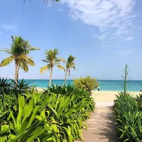 تور هتل  ستاره پارمیس