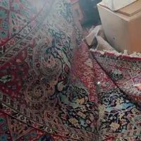 فرش کرم لاکی دوازده متری(سه در چهار)|فرش|یزد, |دیوار