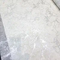 تضمینی کاغذدیواری 48متری خارجی پوستر دیواری نصاب|خدمات پیشه و مهارت|رشت, نیکمرام|دیوار