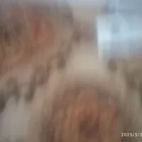 سلام 40مترموکت