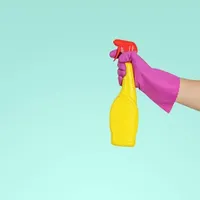 شرکت خدماتی و نظافتی اندیشه فردیس شهریار|خدمات نظافت|اندیشه, |دیوار