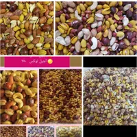 پسته بادام آجیل فندق بادام هندی گردو شکلات شیرینی|عمده‌فروشی|مشهد, گلبرگ شمالی|دیوار