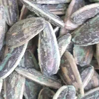 تخمه های خارجی ایرانی و بساطی|خوردنی و آشامیدنی|تهران, سجاد|دیوار
