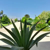 خدمات باغبانی|خدمات باغبانی و درختکاری|رشت, بلوار گیلان|دیوار