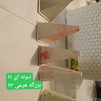 انواع قالب پلاستیکی و سیلیکونی و انواع لوازم|ابزارآلات|رشت, نظری|دیوار