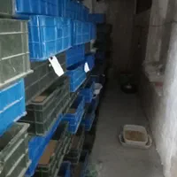 فروش میلورم خشک و زنده