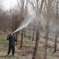 درختکاری و باغداری و سم پاشی