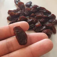 فروش عمده مویز|عمده‌فروشی|شیراز, کاراندیش|دیوار