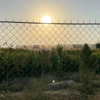 زمین کشاورزی پیشوا ورامین مناسب گلخانه|فروش زمین و ملک کلنگی|تهران, حسن‌آباد|دیوار