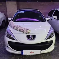 207پانورما مدل 1403
