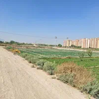 فروش زمین ۳۵۰ متری جی اطشاران ابر|فروش زمین و ملک کلنگی|اصفهان, ابر|دیوار