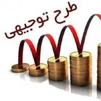 طرح توجیهی / سفارش نگارش و تدوین، پیگیری و قرارداد|خدمات مالی، حسابداری، بیمه|تهران, صادقیه|دیوار