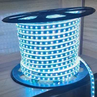 ریسه شلنگی RGB( هفت رنگ) استریپ با ضمانت|ریسه و چراغ تزئینی|قم, نیروگاه|دیوار