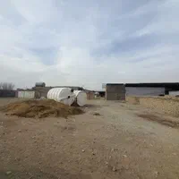 دامداری   ۸ هزار متر تهران زمان اباد قابل تهاتر|فروش دفتر صنعتی، کشاورزی، تجاری|ری, |دیوار