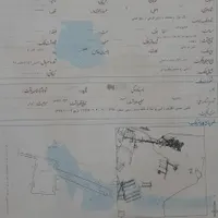 ششدانگ زمین با چاه اختصاصی و مجوز گلخانه|فروش زمین و ملک کلنگی|تبریز, |دیوار