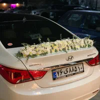 اجاره ماشین عروس وای اف ۲۰۱۴ فقط ۳۵۰۰|خدمات پذیرایی، مراسم|تهران, کن|دیوار