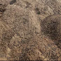 کود فروشی|خدمات باغبانی و درختکاری|شوشتر, |دیوار