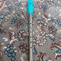 نی شودک
