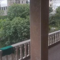 اجاره روزانه/هفتگی/ماهانه آپارتمان ۱۵۰ متری|اجارهٔ کوتاه‌مدت آپارتمان و سوئیت|اسالم, |دیوار