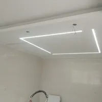 همکار خانوم با برا نقاشی