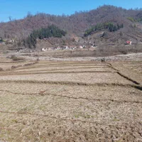 فروش زمین شالیزار ۶۰۰۰ متری|فروش زمین و ملک کلنگی|لیسار, |دیوار