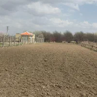 فروش زمین کشاورزی منصور کندی(1230متری)|فروش دفتر صنعتی، کشاورزی، تجاری|میاندوآب, |دیوار