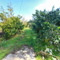 ۳۷۰۰ متر مسکونی با انشعابات قابل تفکیک/۸دقیقه دریا|فروش زمین و ملک کلنگی|لشت نشا, |دیوار