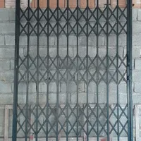 آکاردئونی