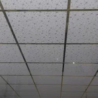 سقف کاذب پی وی سی pvc تایل شبکه ۶۰.۶۰ سقف کاذب|مصالح و تجهیزات ساختمان|تهران, بلورسازی|دیوار