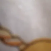 سلام زنجیر طلا کم کردیم