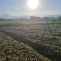 علف و چمن زنی ،سمپاشی ، چاله کنی با دستگاه|خدمات باغبانی و درختکاری|رشت, فرزانه|دیوار