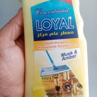 کف شور لویال