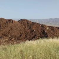 کود حیوانی گوسفندی گاوی|خدمات باغبانی و درختکاری|خرم‌آباد, |دیوار