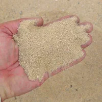 سیلیس چمن مصنوعی (باکیفیت برای چمن مصنوعی)|عمده‌فروشی|آفتاب, |دیوار
