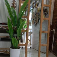 درختچه مصنوعی برگ خارجی|گل مصنوعی|شهریار, |دیوار