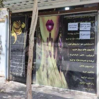 مرکز درمان پاکسازی شپش یک جلسه تضمین بدون قیدوشرط|خدمات آرایشگری و زیبایی|مشهد, مهدی آباد|دیوار